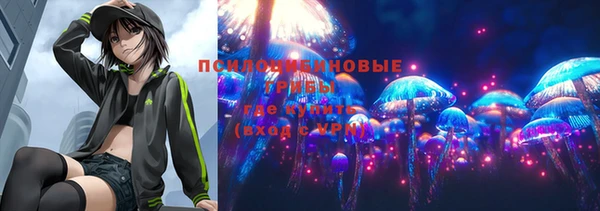 PSILOCYBIN Нефтекумск