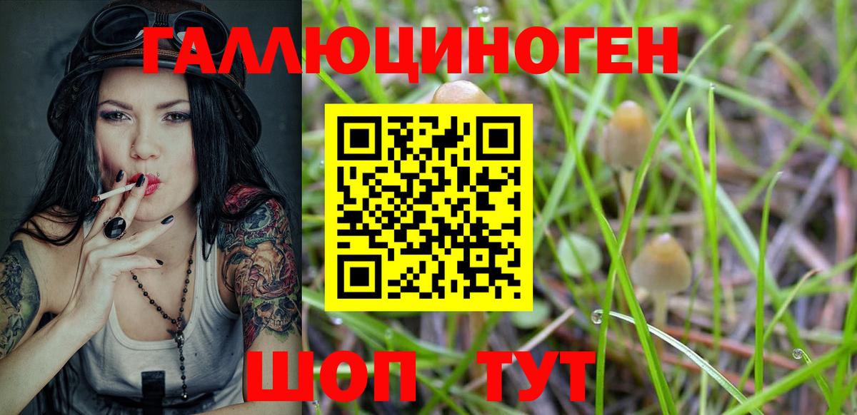 Псилоцибиновые грибы MAGIC MUSHROOMS Борзя
