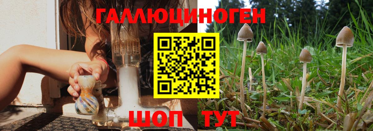 Галлюциногенные грибы мухоморы  Вход с VPN  Борзя 